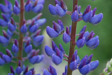 Similar image 22140026