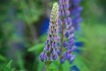 Similar image 22140027