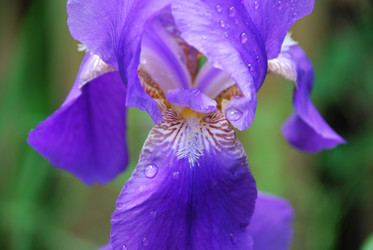 Similar image 22140028