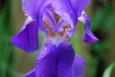 Similar image 22140029