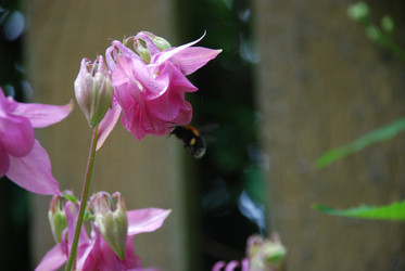 Similar image 22140031