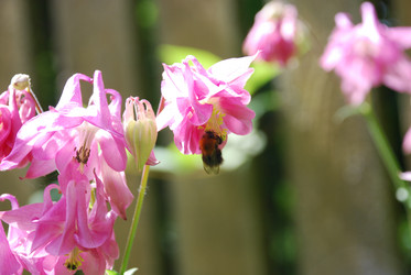 Similar image 22140032