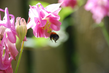 Similar image 22140033