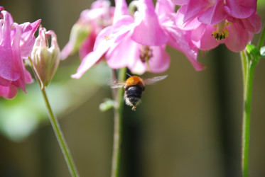 Similar image 22140034