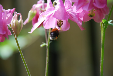 Similar image 22140035