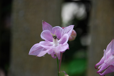 Similar image 22140036