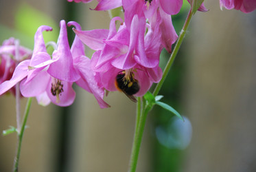 Similar image 22140037