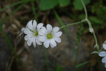 Similar image 22140038