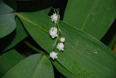 Similar image 22140039