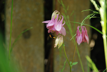 Similar image 22140041