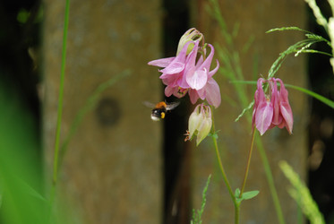 Similar image 22140042