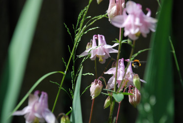 Similar image 22140043