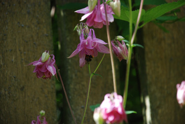 Similar image 22140044