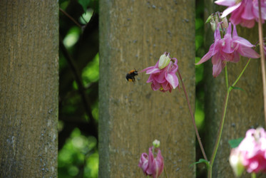 Similar image 22140045