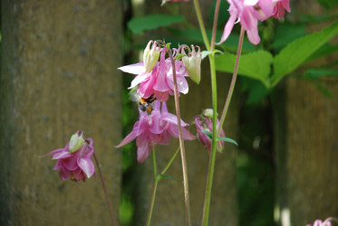 Similar image 22140046