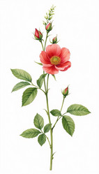 Similar image 22135162