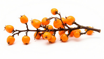 Similar image 22135173