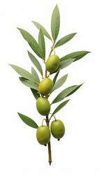 Similar image 22135174