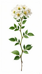 Similar image 22135175