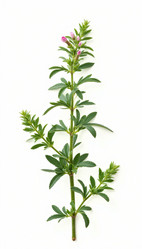 Similar image 22135177