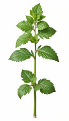 Similar image 22135178