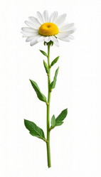 Similar image 22135179