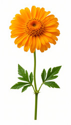 Similar image 22135181