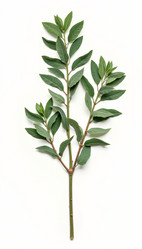 Similar image 22135182