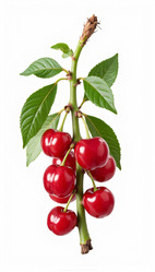 Similar image 22135190