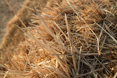 Similar image 22141246