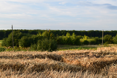 Similar image 22141247