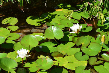 Similar image 22141248