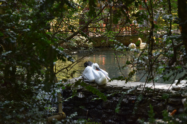 Similar image 22141249