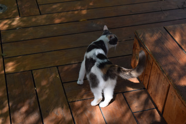 Similar image 22141252