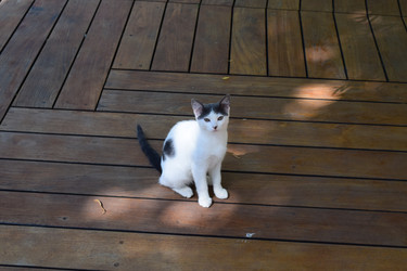 Similar image 22141253