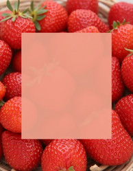 Similar image 22161518