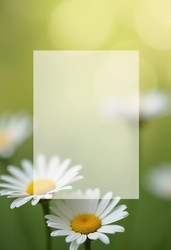 Similar image 22161520