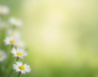 Similar image 22162644