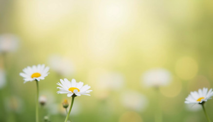 Similar image 22162646