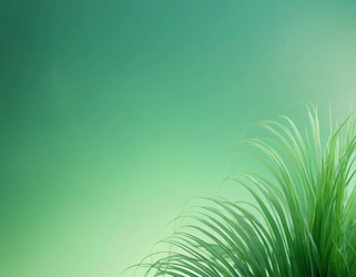 Similar image 22163181