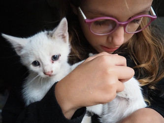 Similar image 22163182