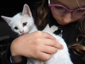 Similar image 22163183