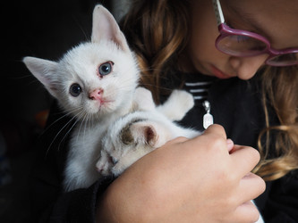 Similar image 22163660