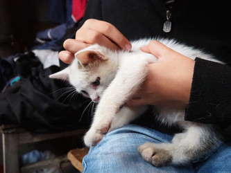 Similar image 22163661