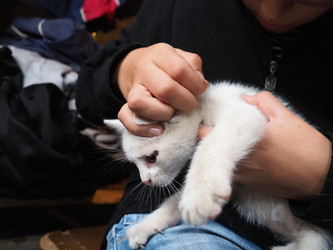 Similar image 22163662