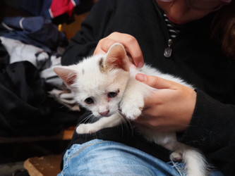 Similar image 22163663