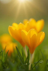 Similar image 22163672