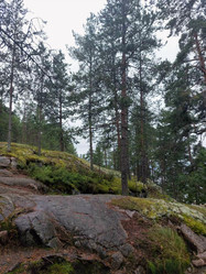 Similar image 22161523