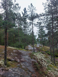 Similar image 22161524