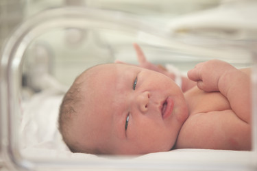 Similar image 22138160